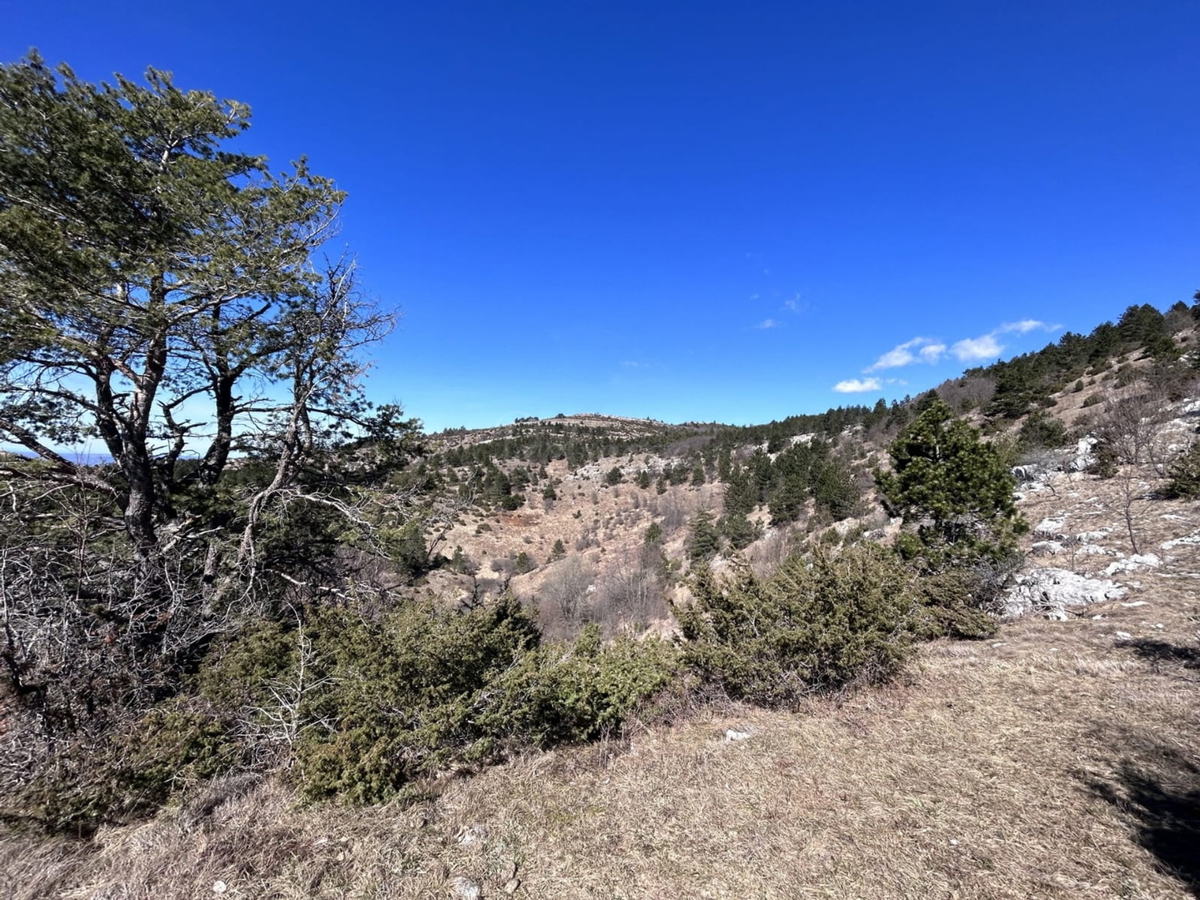 ISTRA, LANIŠĆE, BREST, KMETIJSKO ZEMLJIŠČE 41157 M2, POGLED NA MORJE