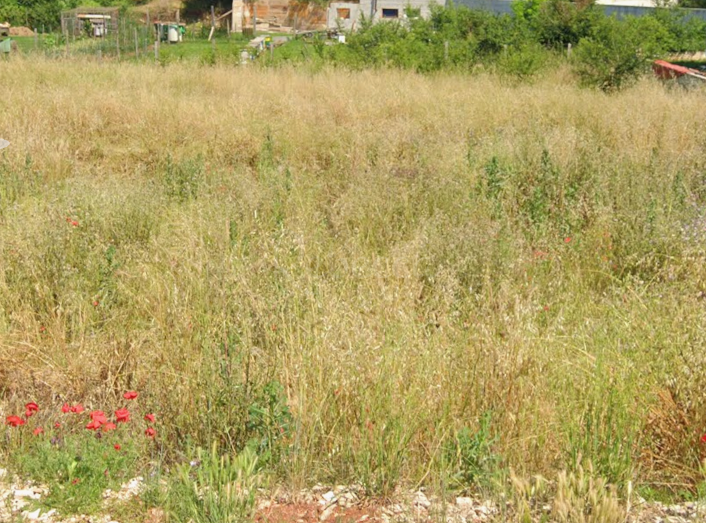 Gradbeno zemljišče, dovoljenje, projekt, plačani prispevki, Loborika