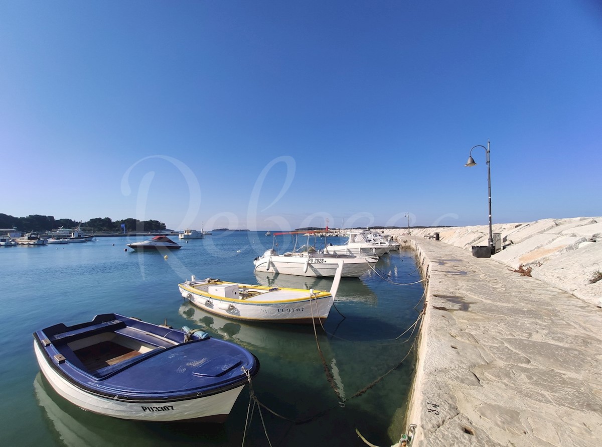 Moderna vila z bazenom 200 m od plaže, pogled na morje