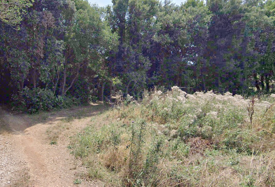 Istra, Šišan, kmetijsko zemljišče 906 m2, kilometer od morja