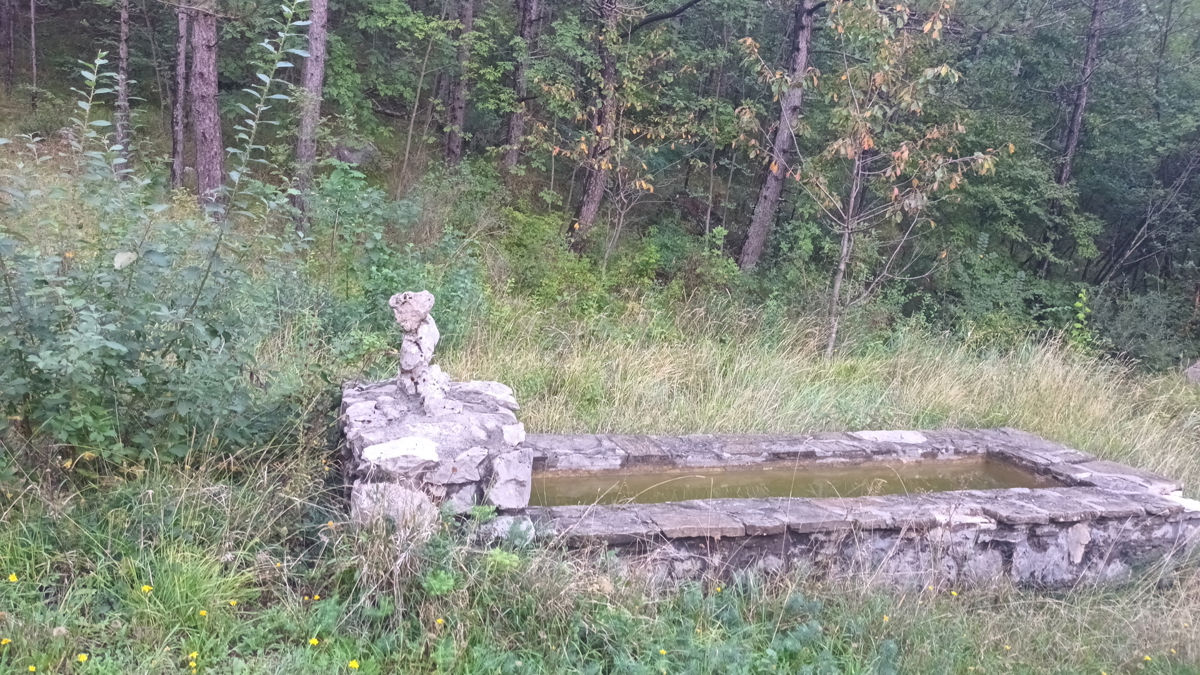 Veliko kmetijsko zemljišče v Roču