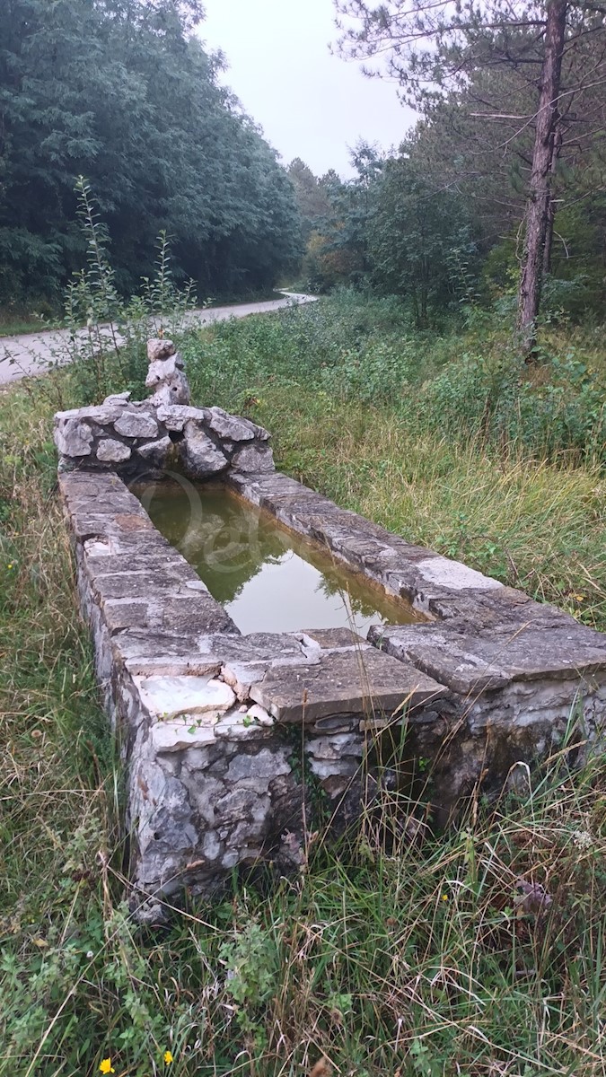 Veliko kmetijsko zemljišče v Roču