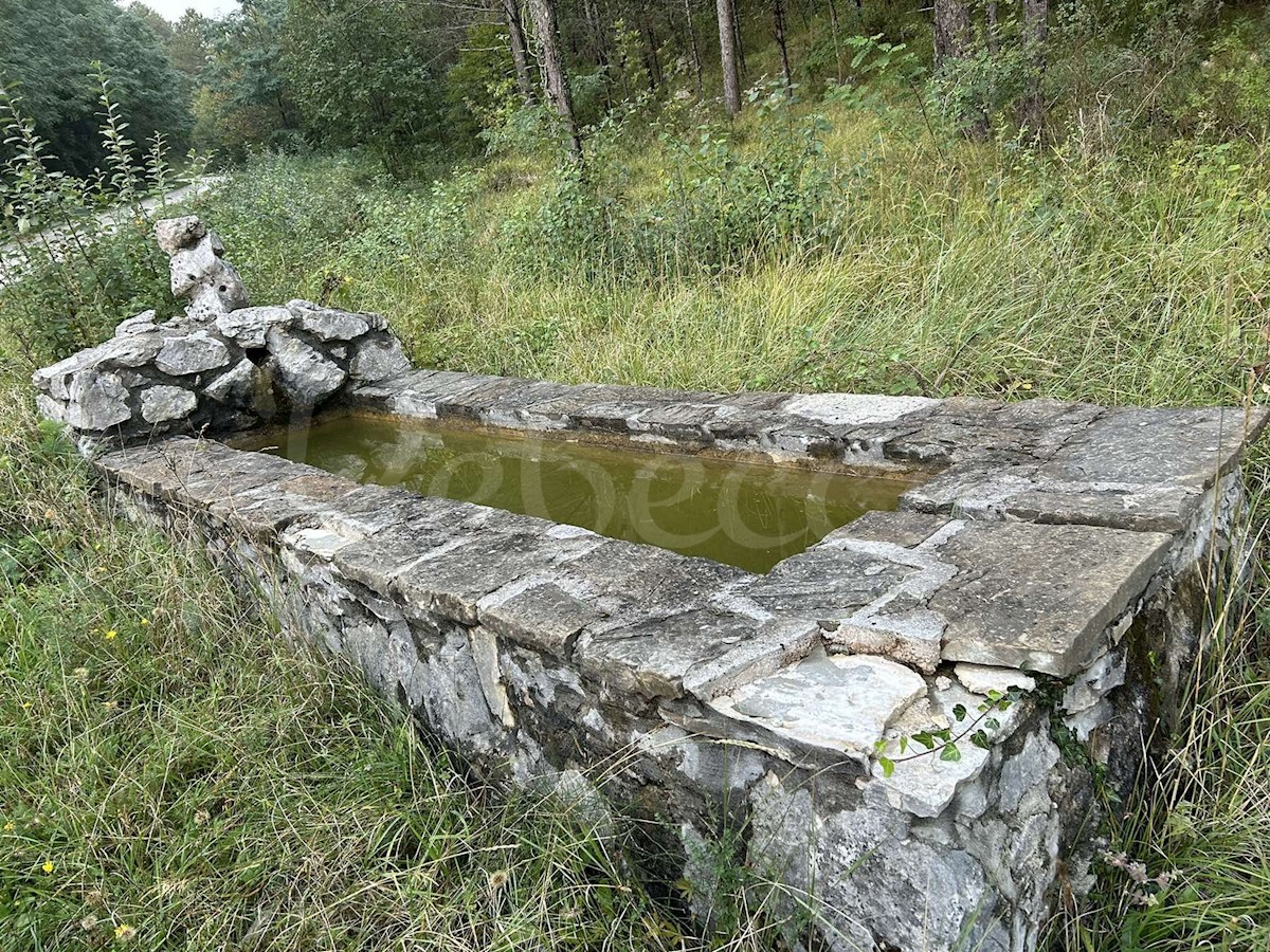 Veliko kmetijsko zemljišče v Roču