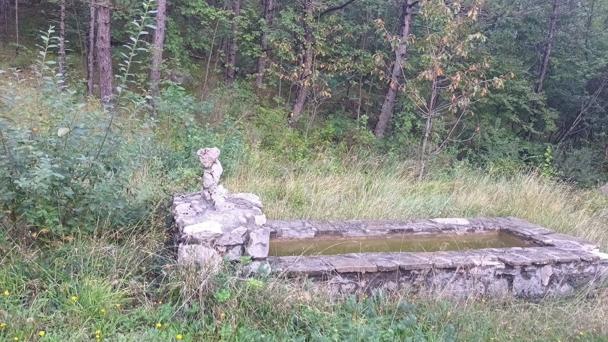 Veliko kmetijsko zemljišče v Roču