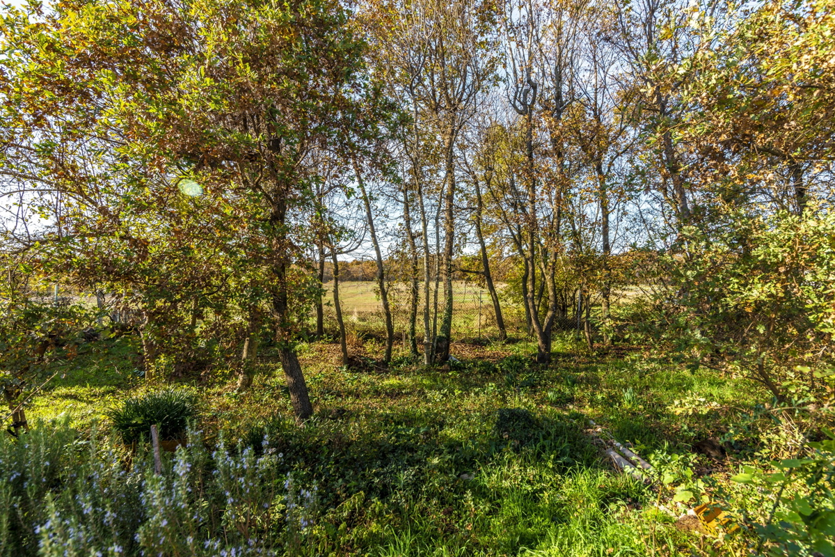 Dve samostojni hiši, zazidljivo zemljišče 3222 m2, Loborika