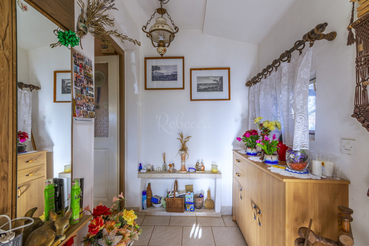 Dve samostojni hiši, zazidljivo zemljišče 3222 m2, Loborika