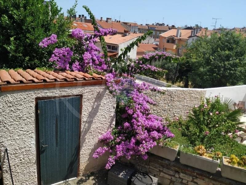 Center, v bližini cerkve Svetega Srca, 350m od morja