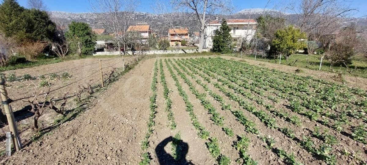 Kaštel Lukšić, stara kamnita hiša (224m2) na velikem zemljišču, POTENCIAL