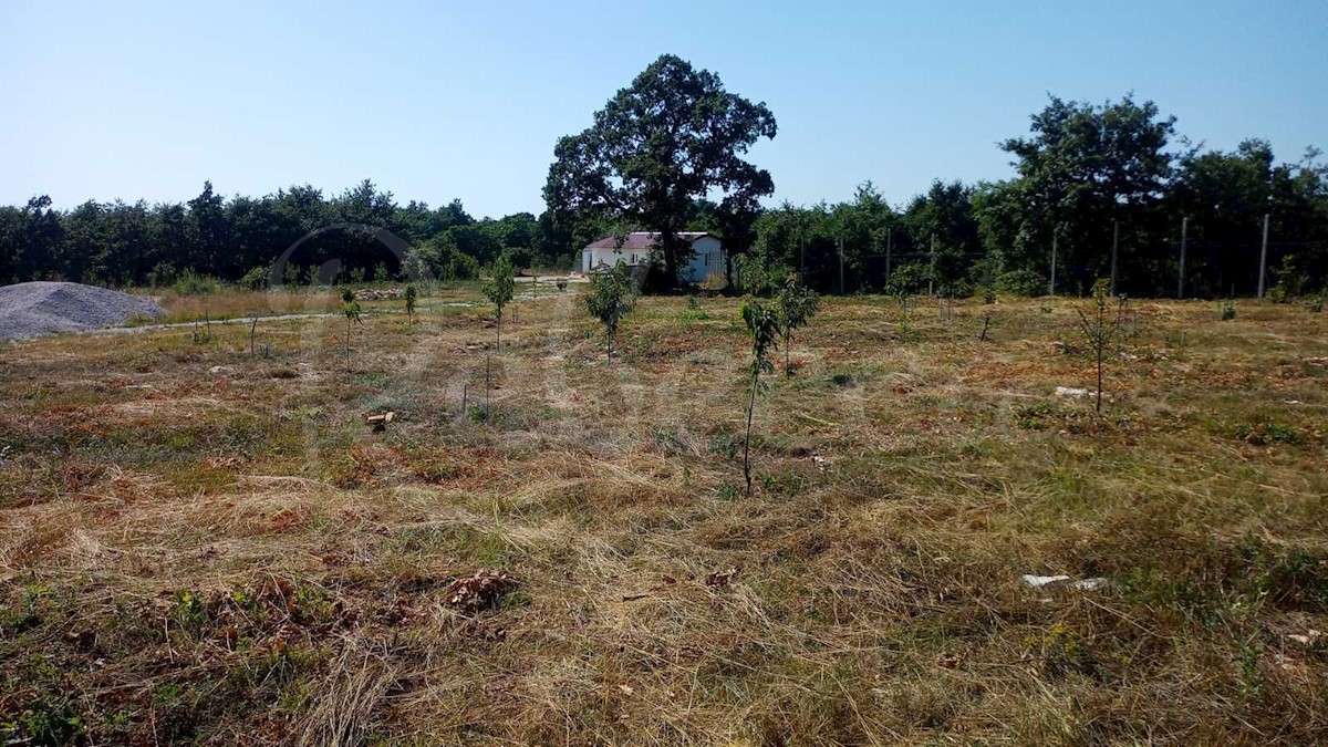 Večja posest, 27000 m2, gradbeno dovoljenje, Smoljanci