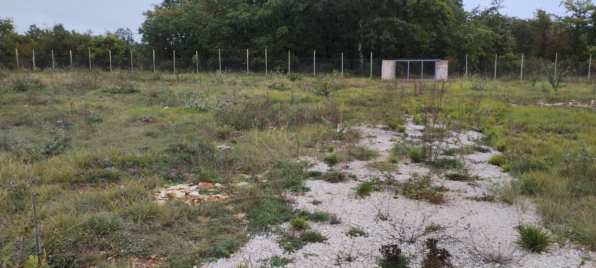Večja posest, 27000 m2, gradbeno dovoljenje, Smoljanci