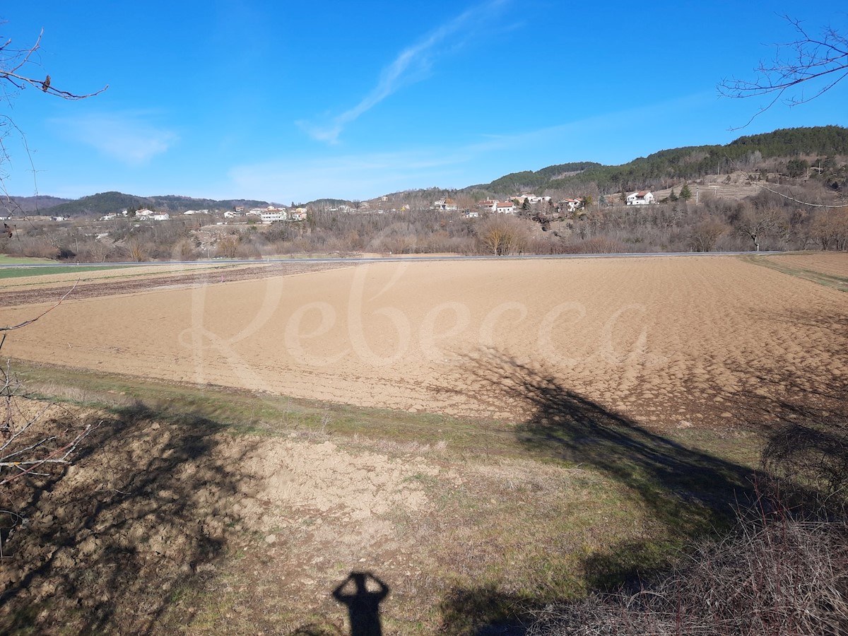 Veliko obdelano kmetijsko zemljišče