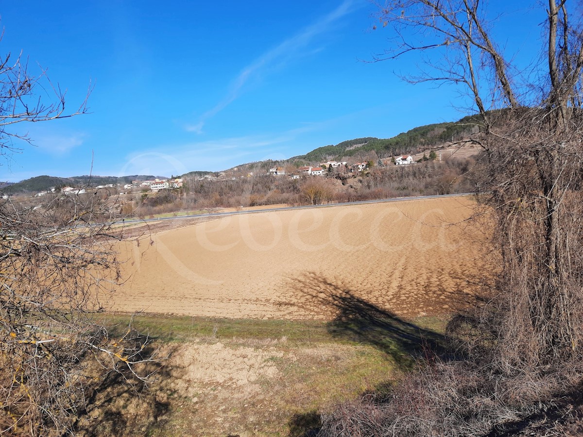 Veliko obdelano kmetijsko zemljišče