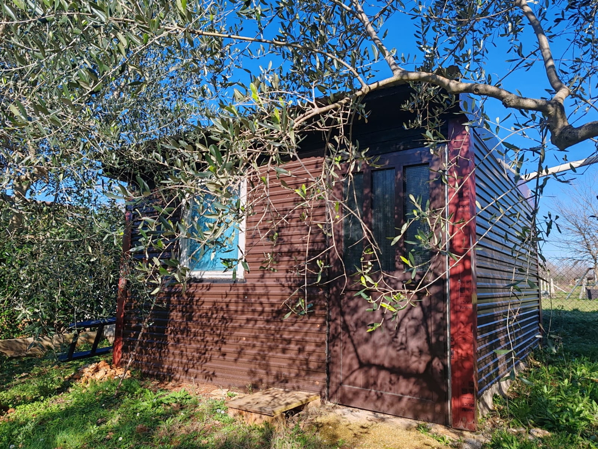 Kmetijsko zemljišče 1000 m2 z objektom - Valtura