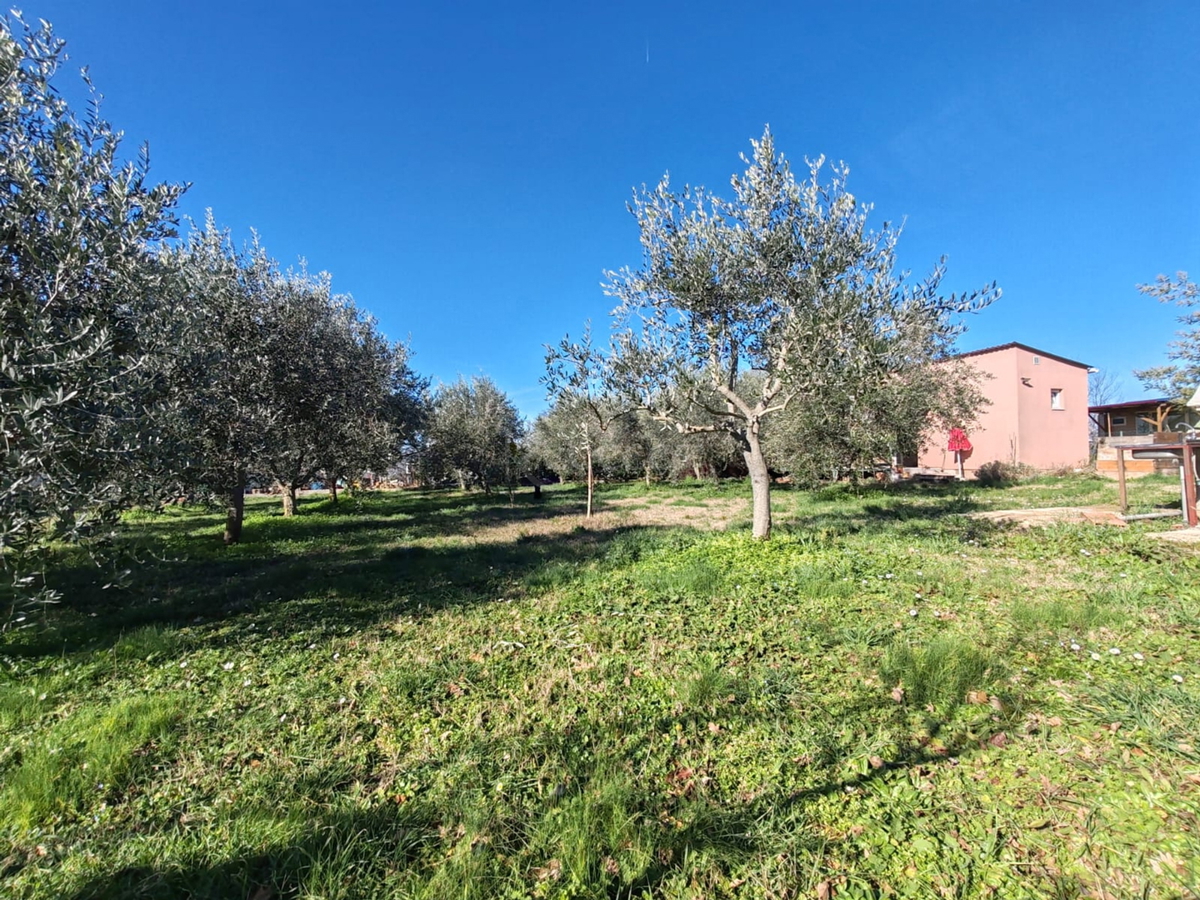 Kmetijsko zemljišče 1000 m2 z objektom - Valtura