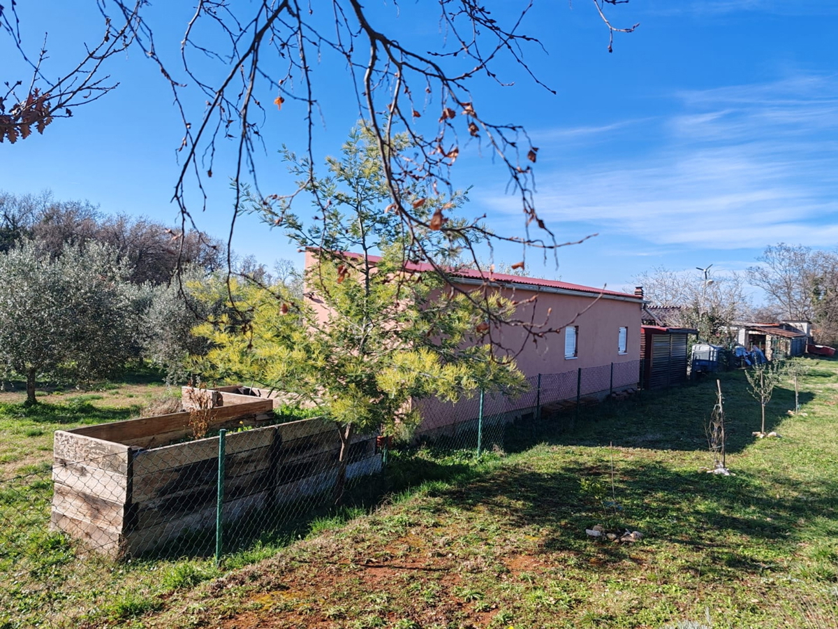 Kmetijsko zemljišče 1000 m2 z objektom - Valtura