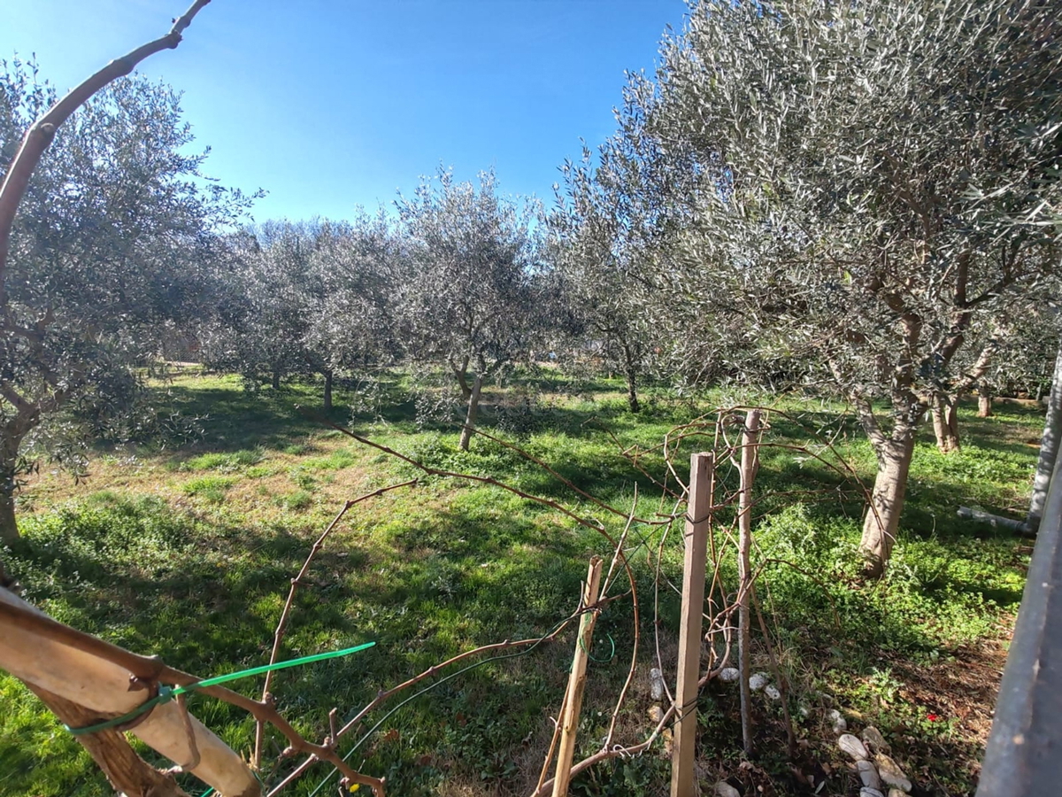 Kmetijsko zemljišče 1000 m2 z objektom - Valtura