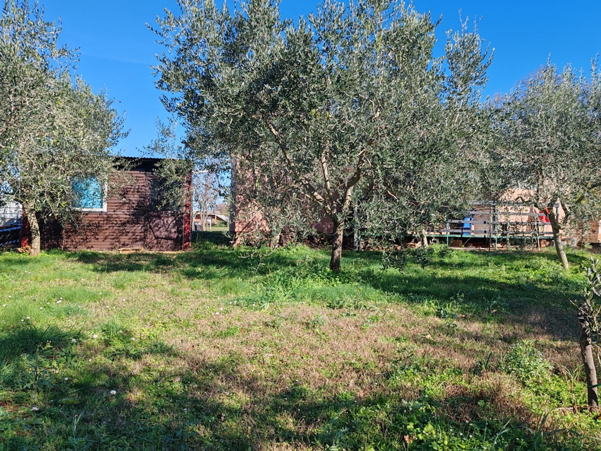 Kmetijsko zemljišče 1000 m2 z objektom - Valtura