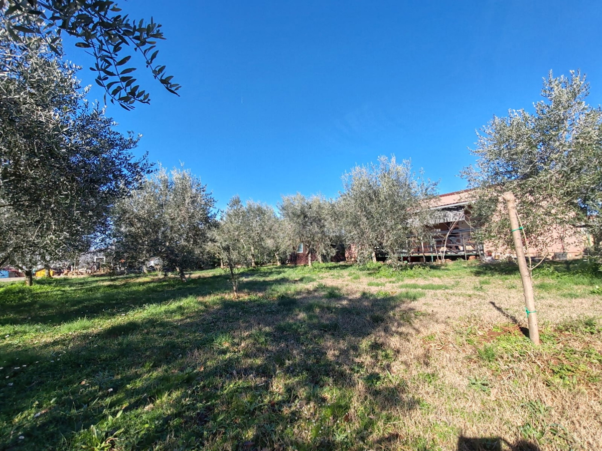 Kmetijsko zemljišče 1000 m2 z objektom - Valtura