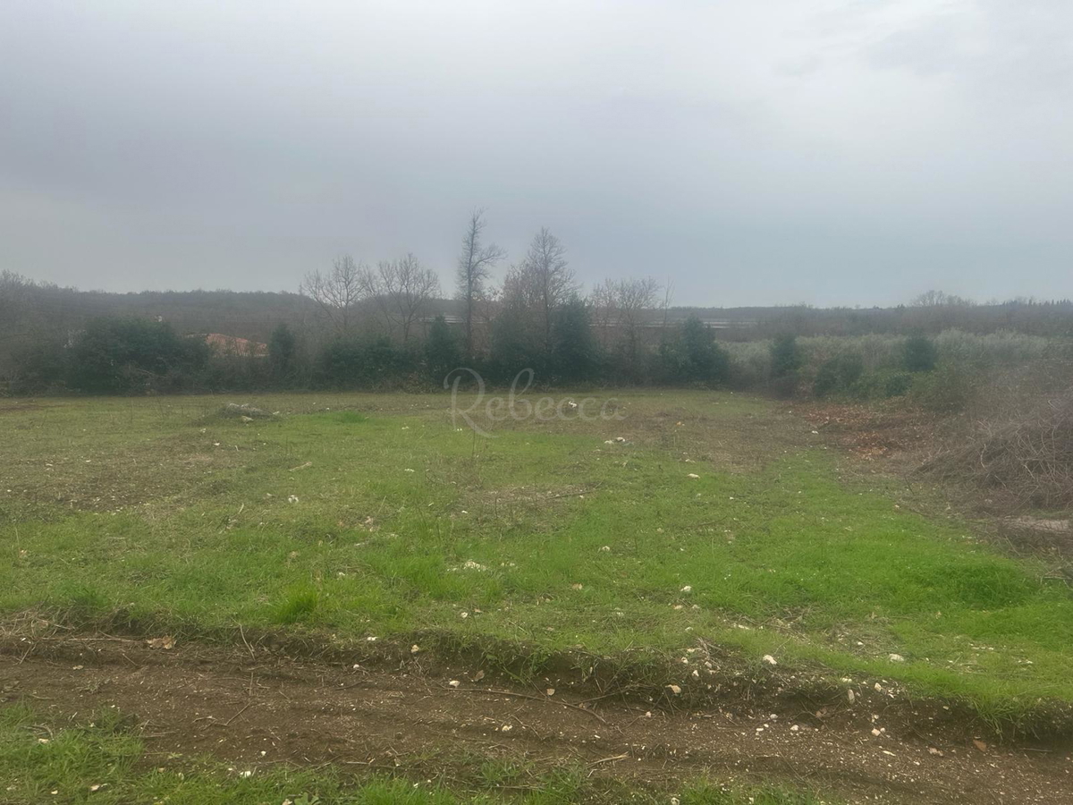 ISTRA, BRTONIGLA, ZAZIDLJIVO ZEMLJIŠČE ZA APARTMAJE, POGLED NA MORJE