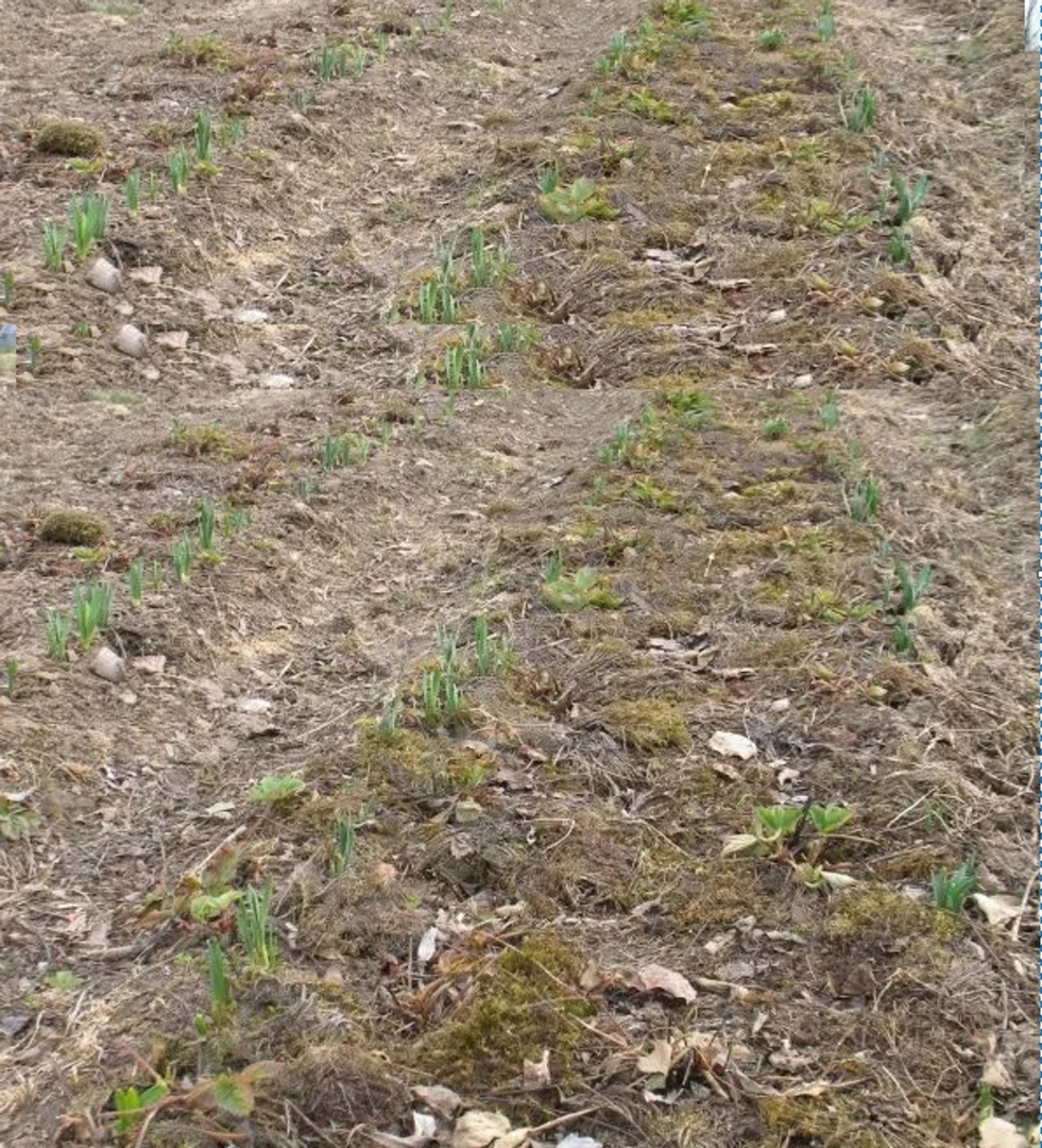 Zazidljivo kmetijsko zemljišče, 13800 m2, okolica Barbana
