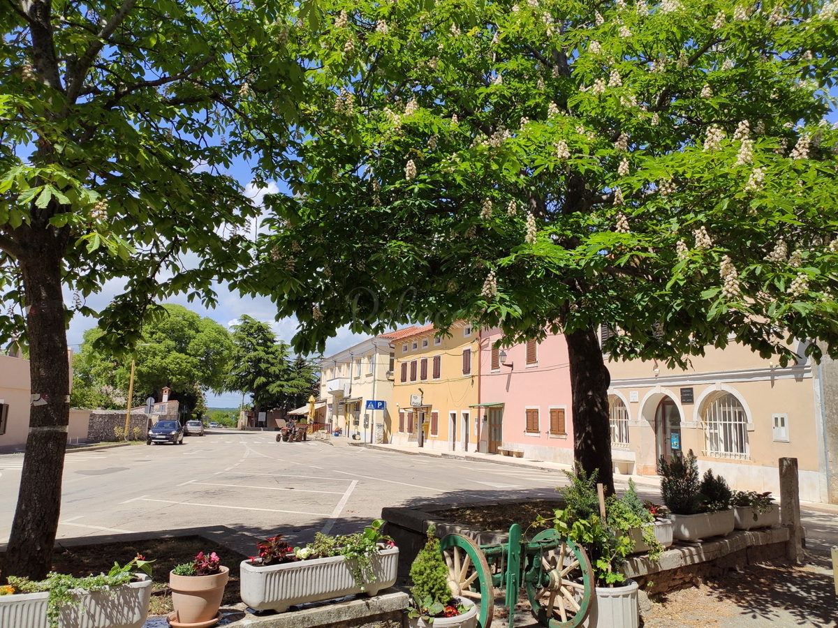 Veliko kmetijsko zemljišče, elektrika 100m