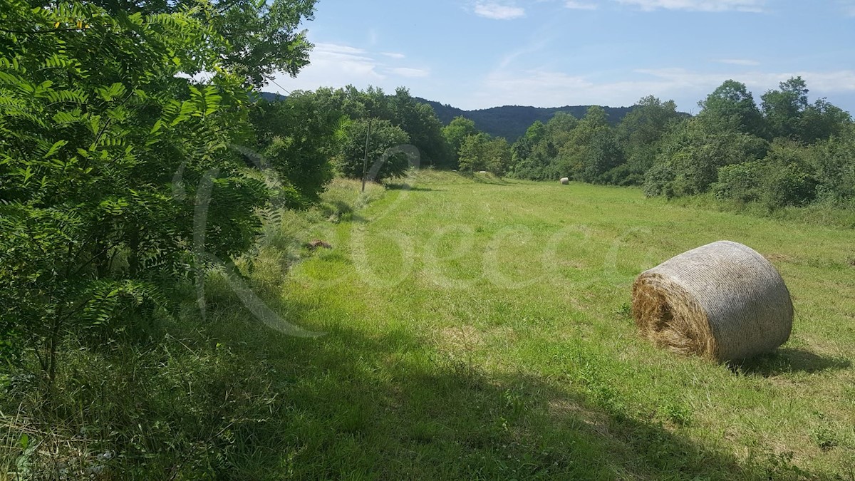 Pazin, zemljišče mešane rabe