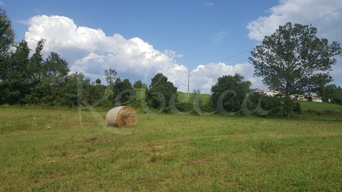 Pazin, zemljišče mešane rabe