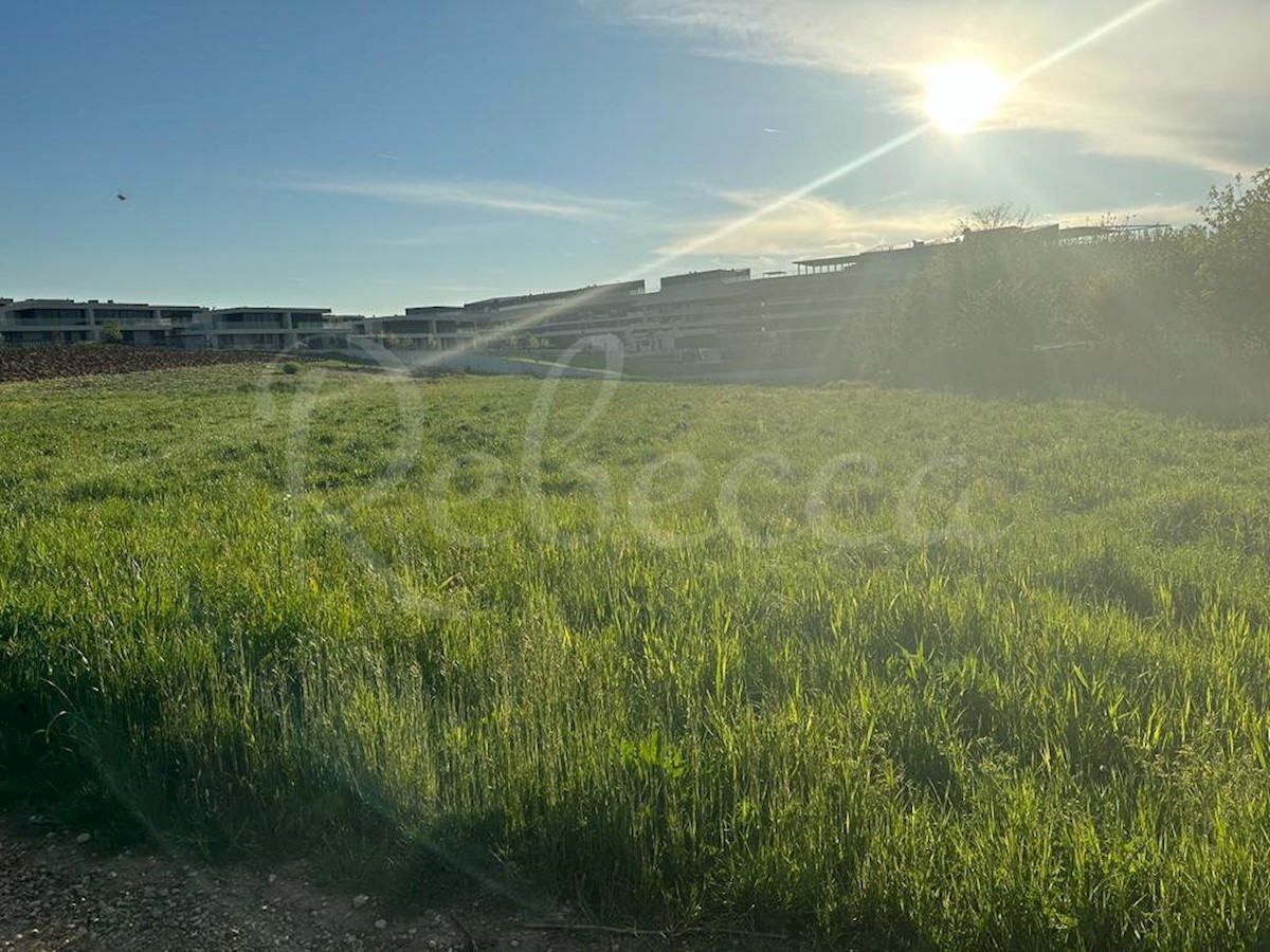 Istra, Savudrija, veliko gradbeno zemljišče za gradnjo vil, blizu morja