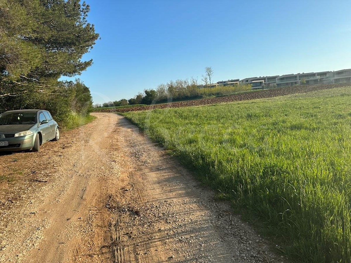 Istra, Savudrija, veliko gradbeno zemljišče za gradnjo vil, blizu morja