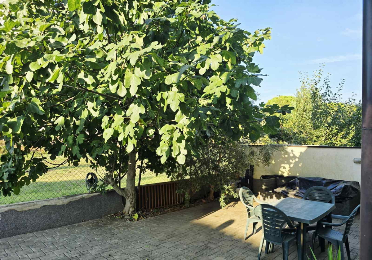 Stanovanje 60 m² s 50 m² dvorišča in 2 parkirnima mestoma - takoj vseljivo!