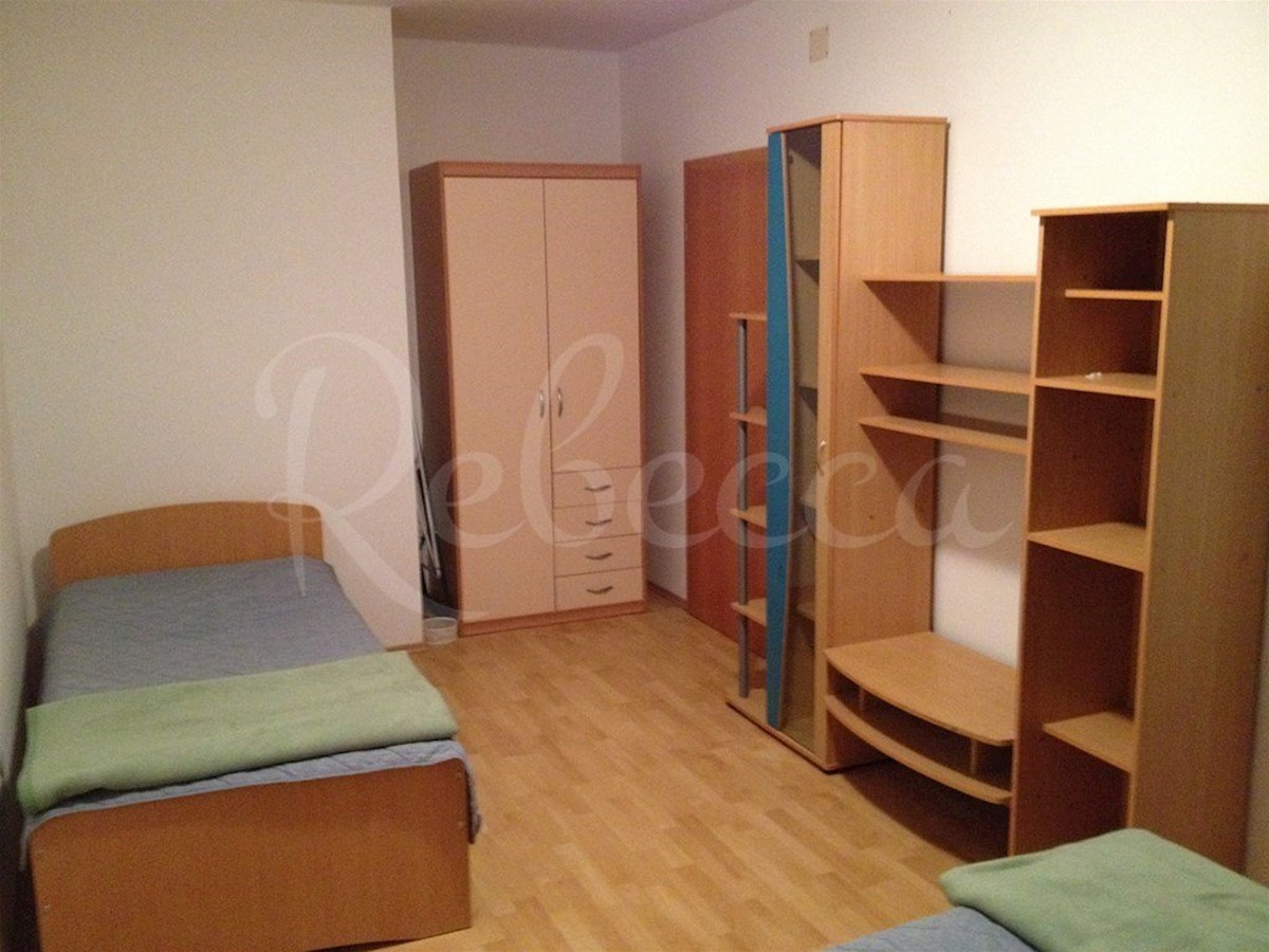 Velika hiša s 4 apartmaji