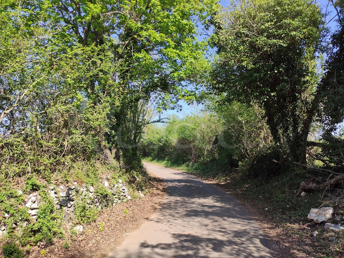 Kmetijsko zemljišče 700 m od centra in 3 km od morja