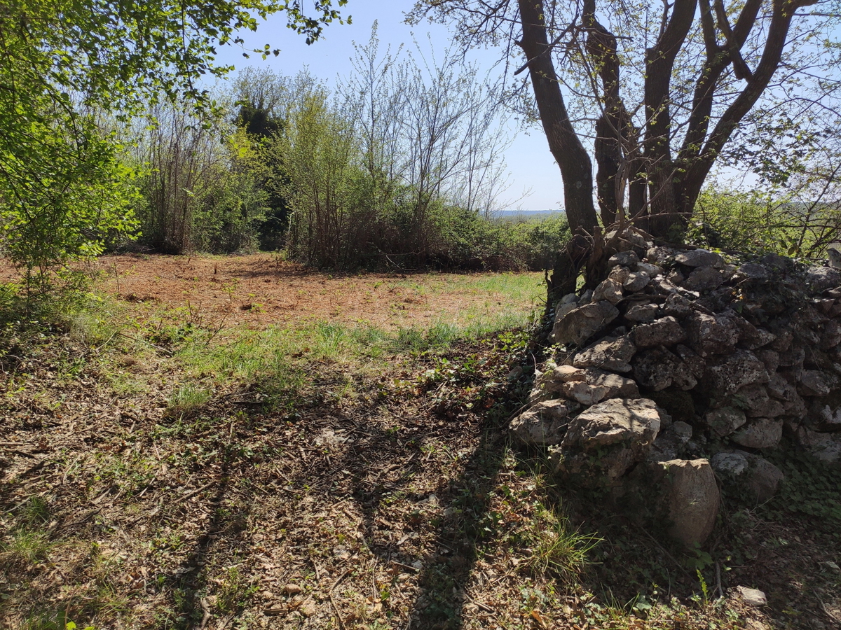 Kmetijsko zemljišče 700 m od centra in 3 km od morja