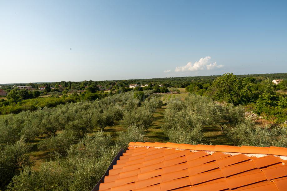 Hiša 280 m2, dva apartmaja, velik vrt, okolica Vodnjana
