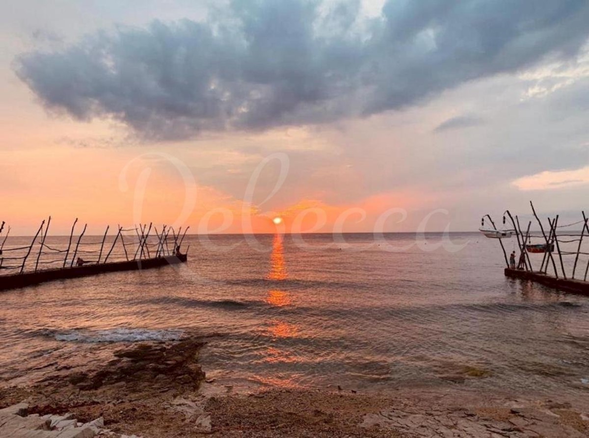 Umag, Bašanija, luksuzna vila z bazenom in savno, druga vrsta do morja!