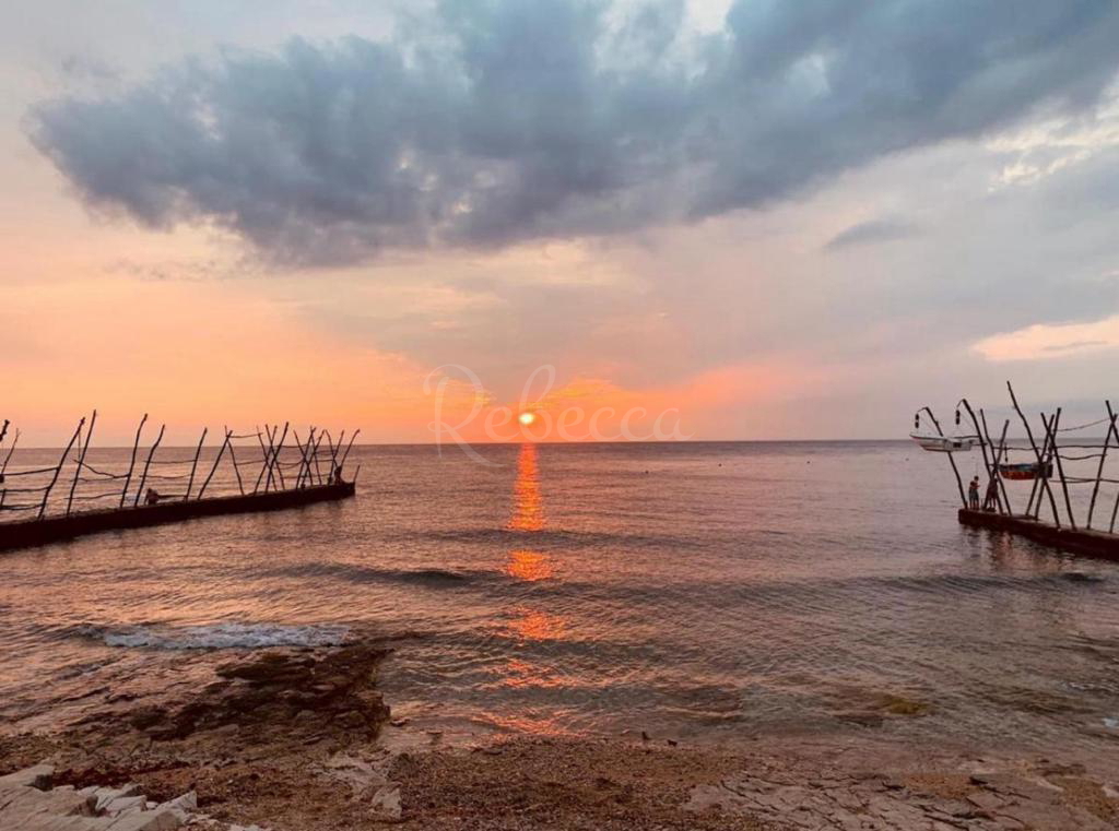 Umag, Bašanija, luksuzna vila z bazenom in savno, druga vrsta do morja!