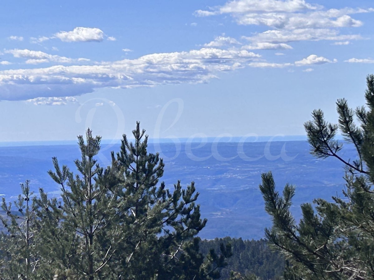 ISTRA, LANIŠĆE, BREST, KMETIJSKO ZEMLJIŠČE 41157 M2, POGLED NA MORJE