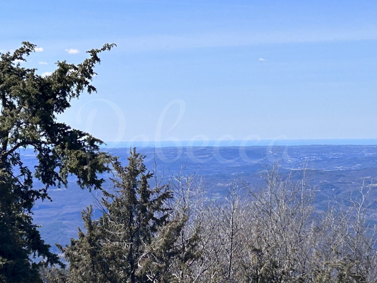 ISTRA, LANIŠĆE, BREST, KMETIJSKO ZEMLJIŠČE 41157 M2, POGLED NA MORJE