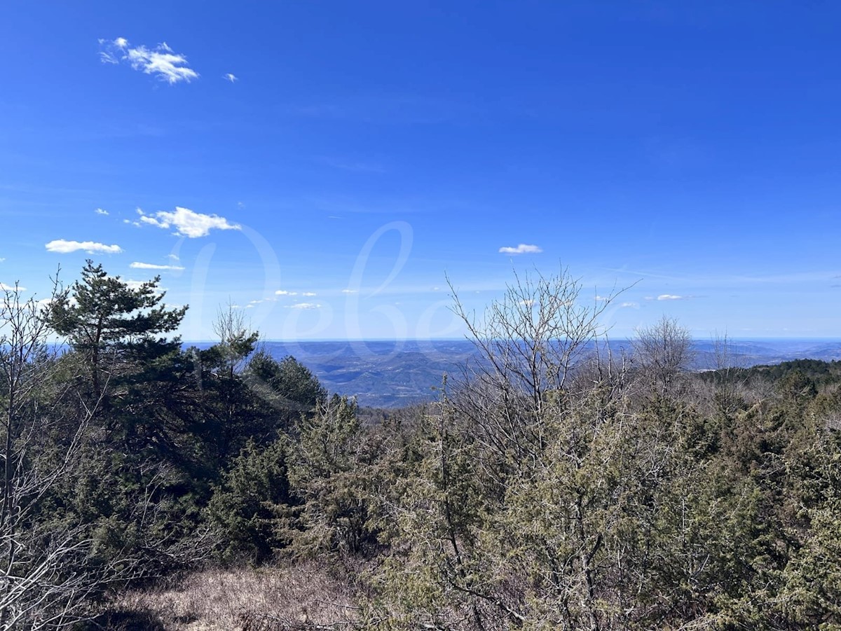 ISTRA, LANIŠĆE, BREST, KMETIJSKO ZEMLJIŠČE 41157 M2, POGLED NA MORJE