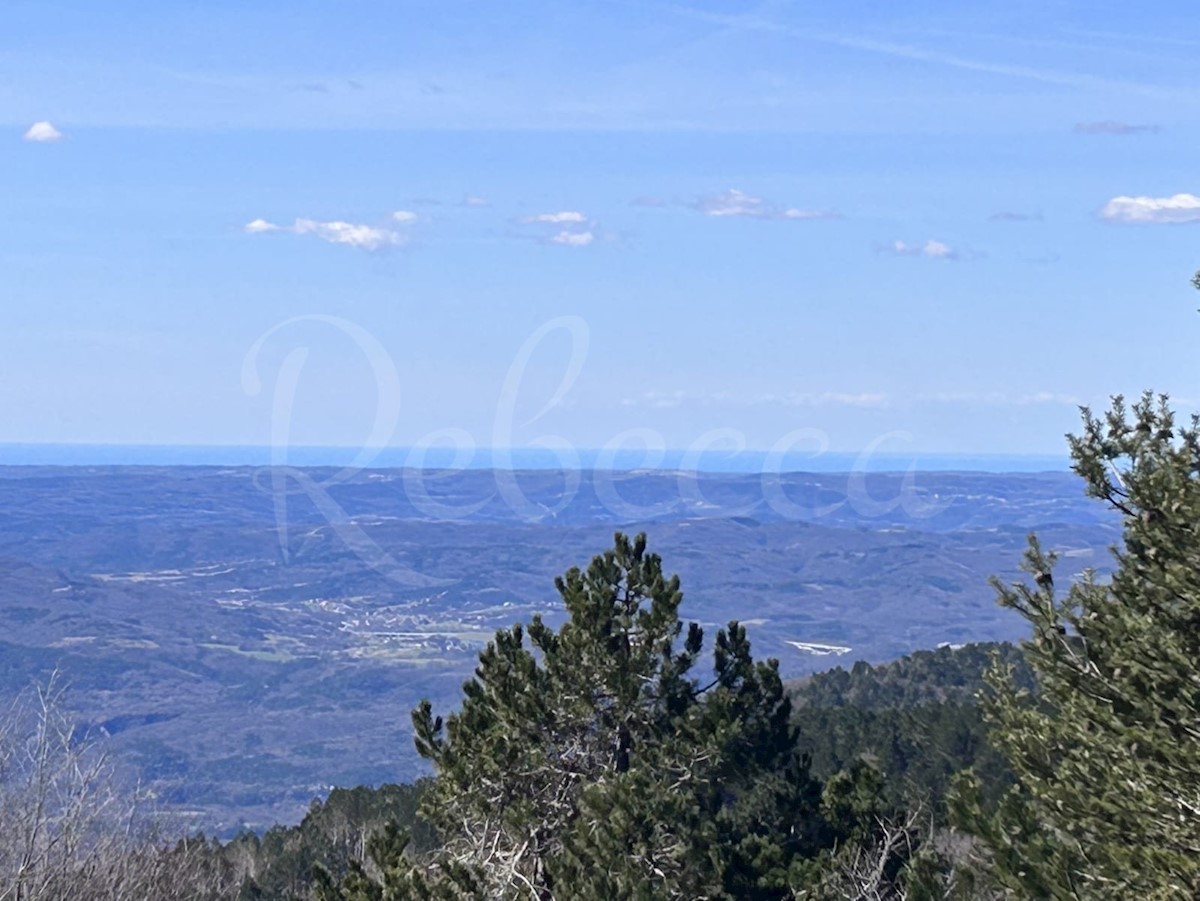 ISTRA, LANIŠĆE, BREST, KMETIJSKO ZEMLJIŠČE 41157 M2, POGLED NA MORJE