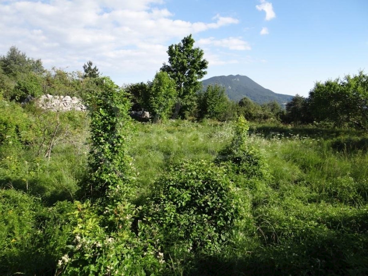 ISTRA, LANIŠĆE, BREST, KMETIJSKO ZEMLJIŠČE 41157 M2, POGLED NA MORJE