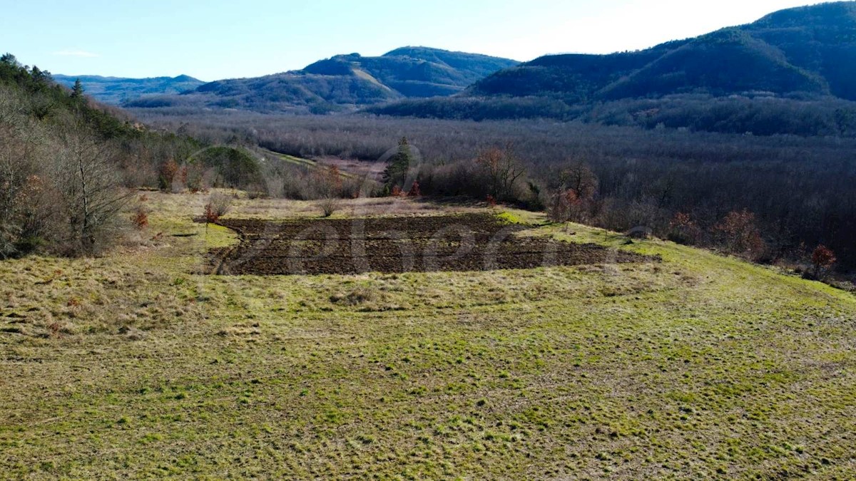 Gradbena parcela s pogledom na Motovun