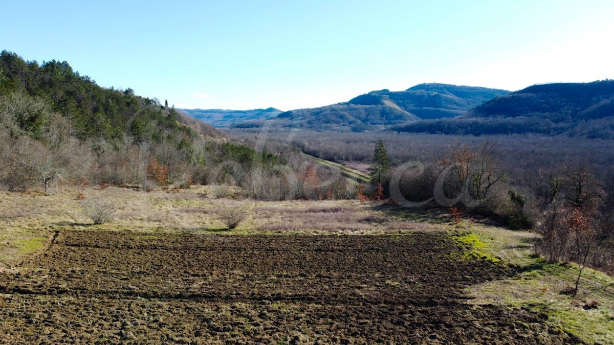 Gradbena parcela s pogledom na Motovun