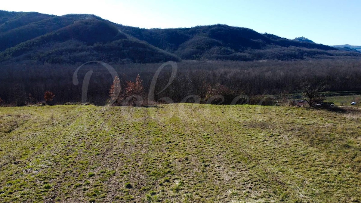 Gradbena parcela s pogledom na Motovun