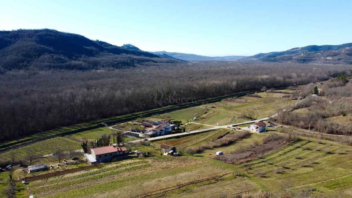 Gradbena parcela s pogledom na Motovun
