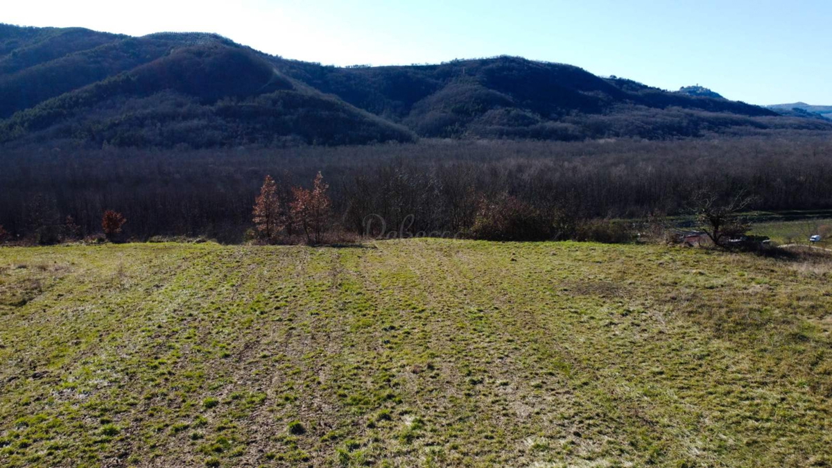Gradbena parcela s pogledom na Motovun