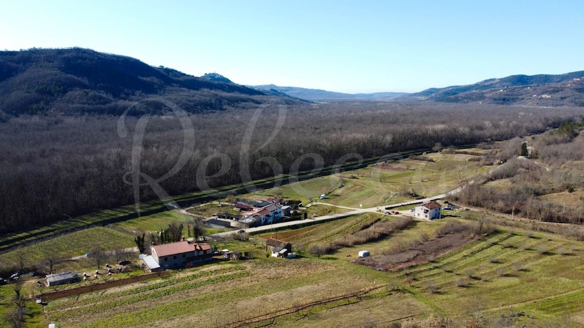 Gradbena parcela s pogledom na Motovun