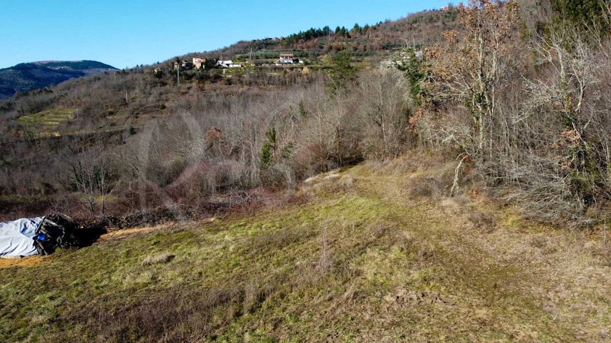 Gradbena parcela s pogledom na Motovun