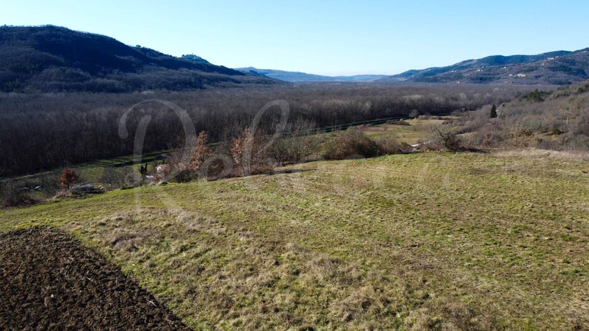 Gradbena parcela s pogledom na Motovun