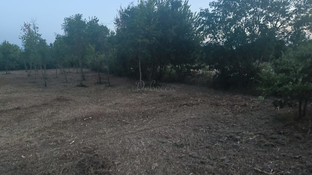 Zazidljivo zemljišče, 1830 m2, okolica Štokovci